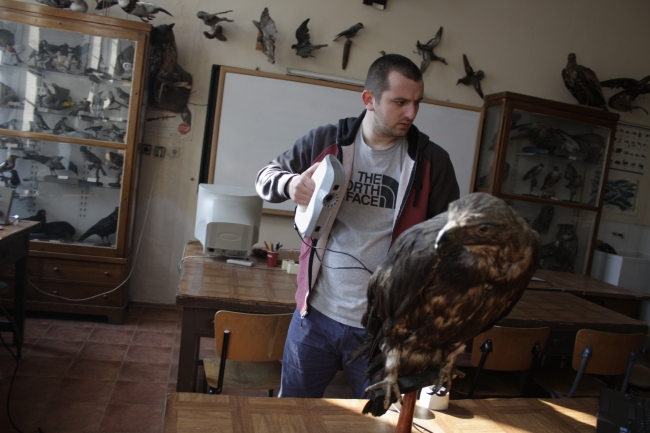 Scanning-the-Eastern-Imperial-Eagle