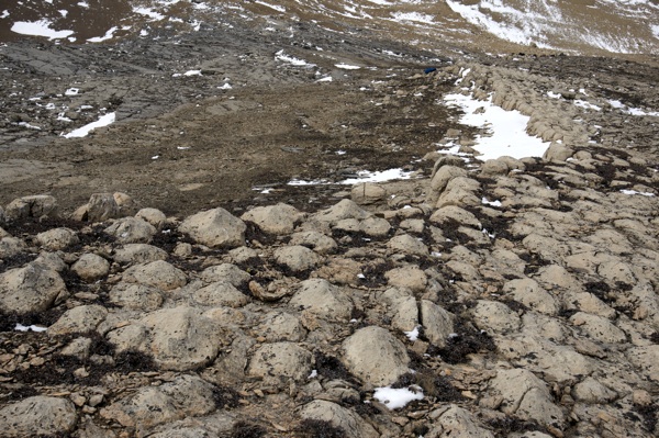 Helen Lake 3 Stramatolites