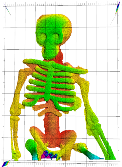 18pml022_skeleton