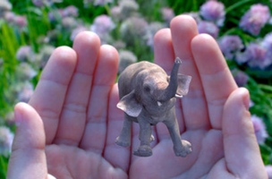 Magic Leap