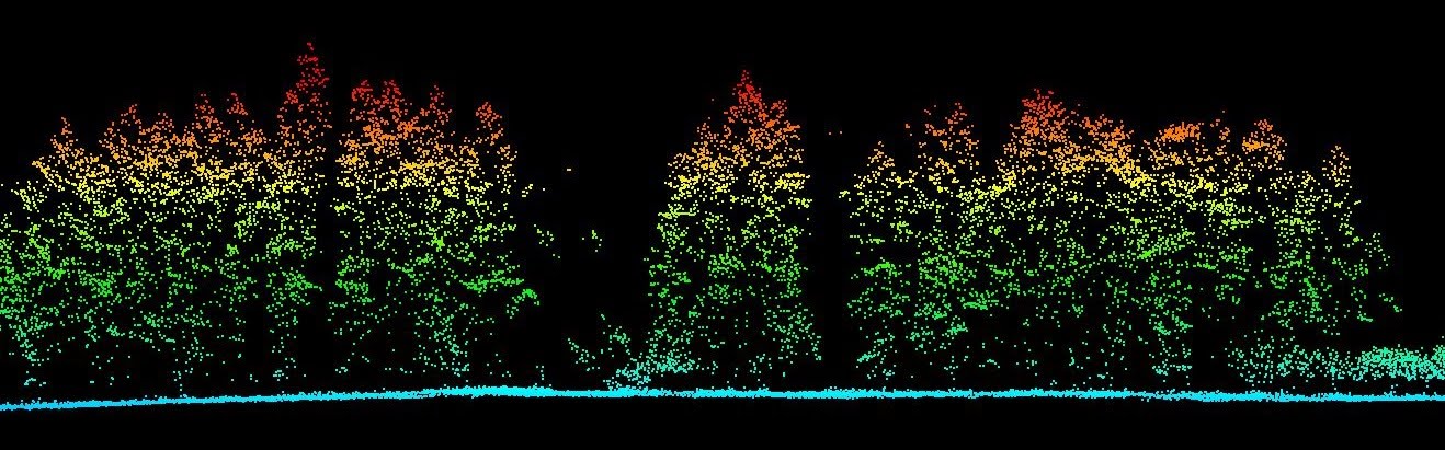 forest-lidar