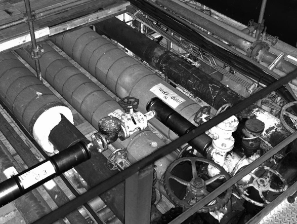 Meridian Adds Z+F LFM Server Deliverables - Image 1