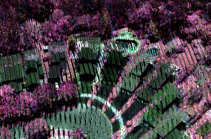Vegetation discrimination using the new Optech Titan multispectral lidar sensor.