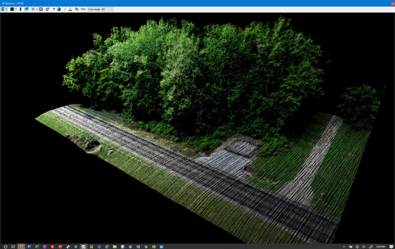 TrueView_ColorizedPointCloud_TreesAlongRoad