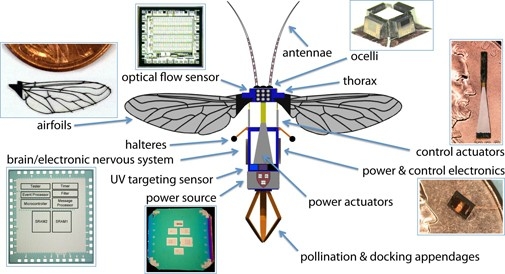 RoboBee Parts