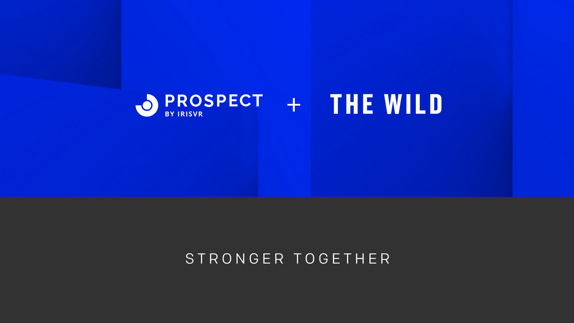 60365a52aca01e716302bbe3_Prospect + The Wild Banner-p-2000