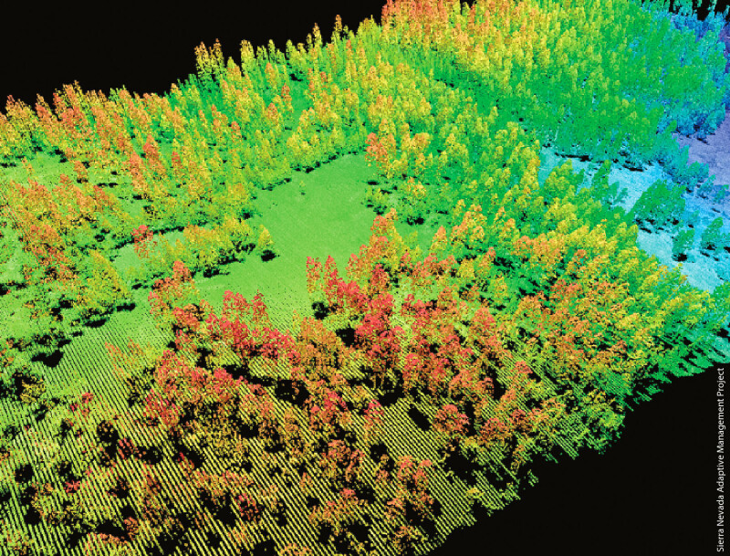 California Agriculture journal, January - March 2015, Volume 69 number 1. Article: Mapping forests with Lidar provides flexible, accurate data with many uses