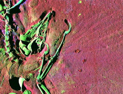 03.20.12.synchrotron