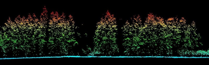 forest-lidar