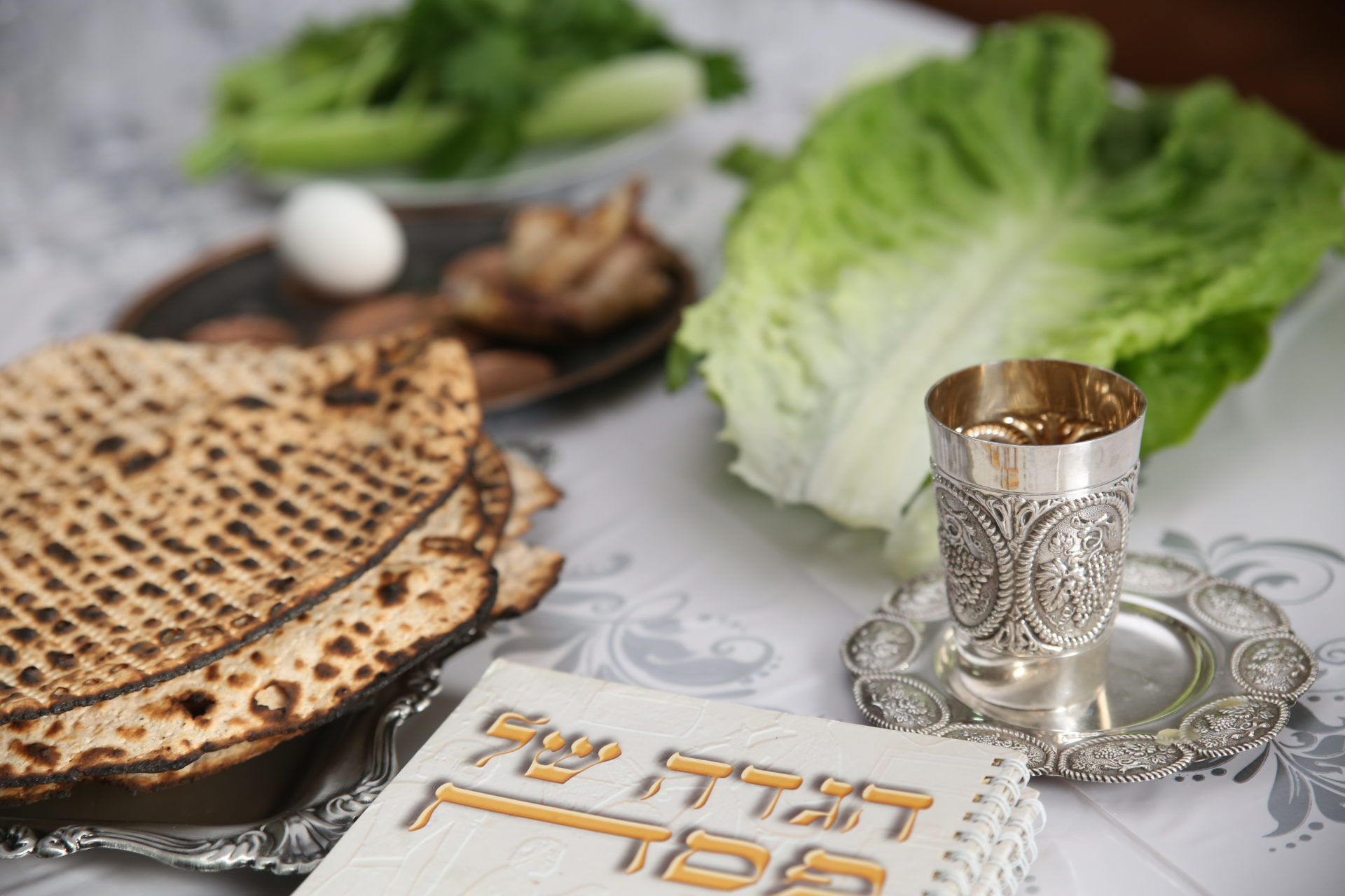 Record 115,000 Jews to Participate in Passover Programs this Passover