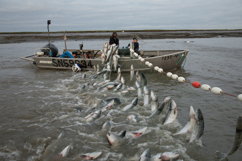 Bristol Bay Setnet