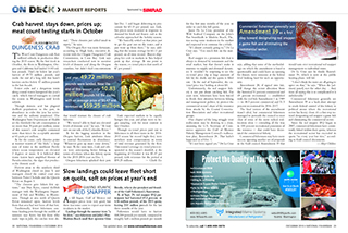 15dec NF MarketReports 320pxWide