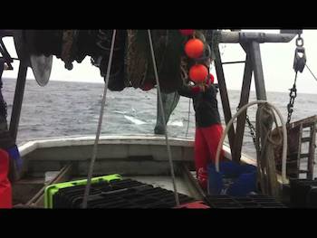 2015 0521 Groundfish