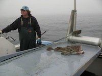 Wark Sturgeon IMG 9041