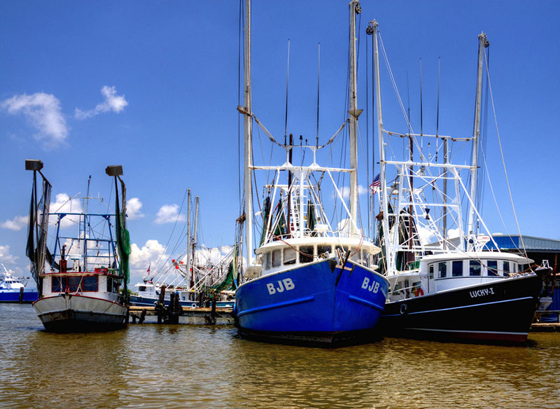 Shrimp boats tied up in Venice, La. Creative Commons photo by Flickr user Finchlake2000.