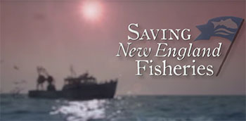 2016 0526 SavingNEFisheries