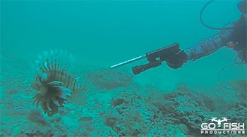 2016 0926 lionfish glock