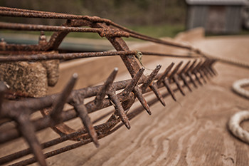 2016 1130 OysterTOng