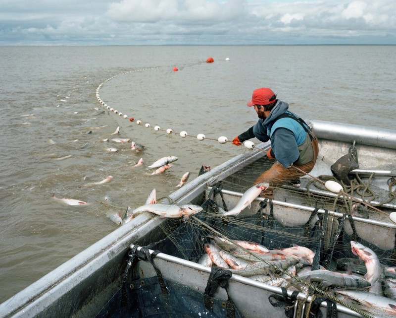 Setnetter at Graveyard Point on Alaska's Bristol Bay