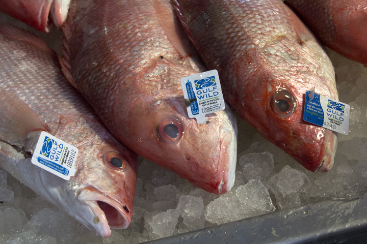 gulf seafood red snapper memos