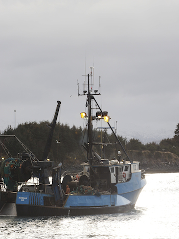 2016 0614 Kodiak Ess