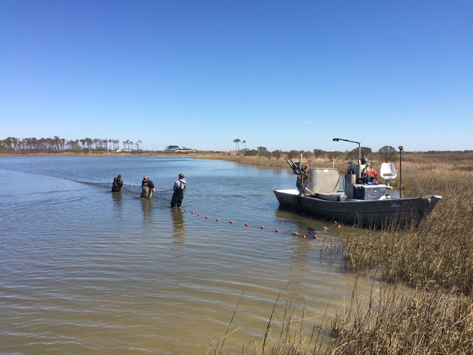 Near miss on net ban: Mississippi fishermen win one battle with the CCA