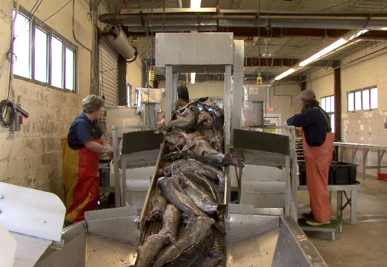 05.08.14 fishexchange