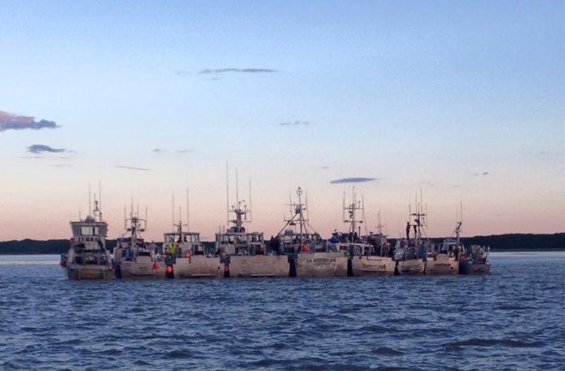 Salmon boats lined up in Bristol Bay. Katherine Carscallen photo.