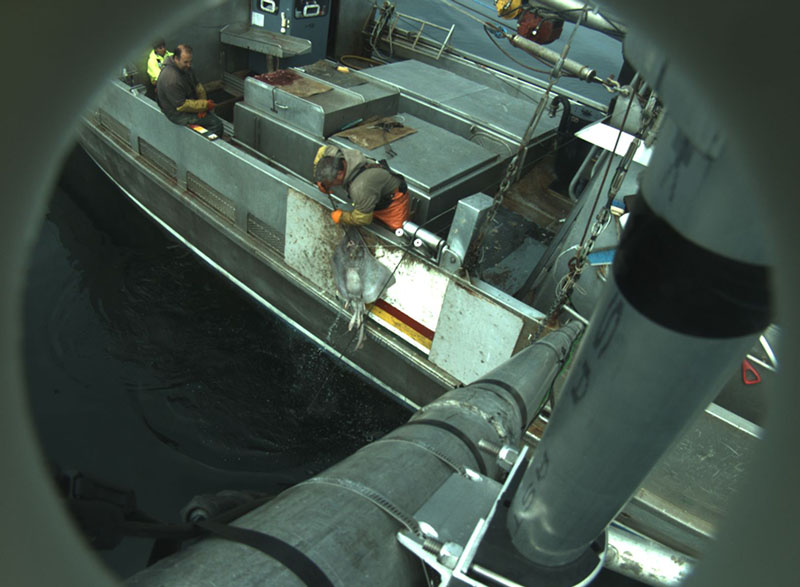 Camera view from an electronic monitor. NOAA photo.