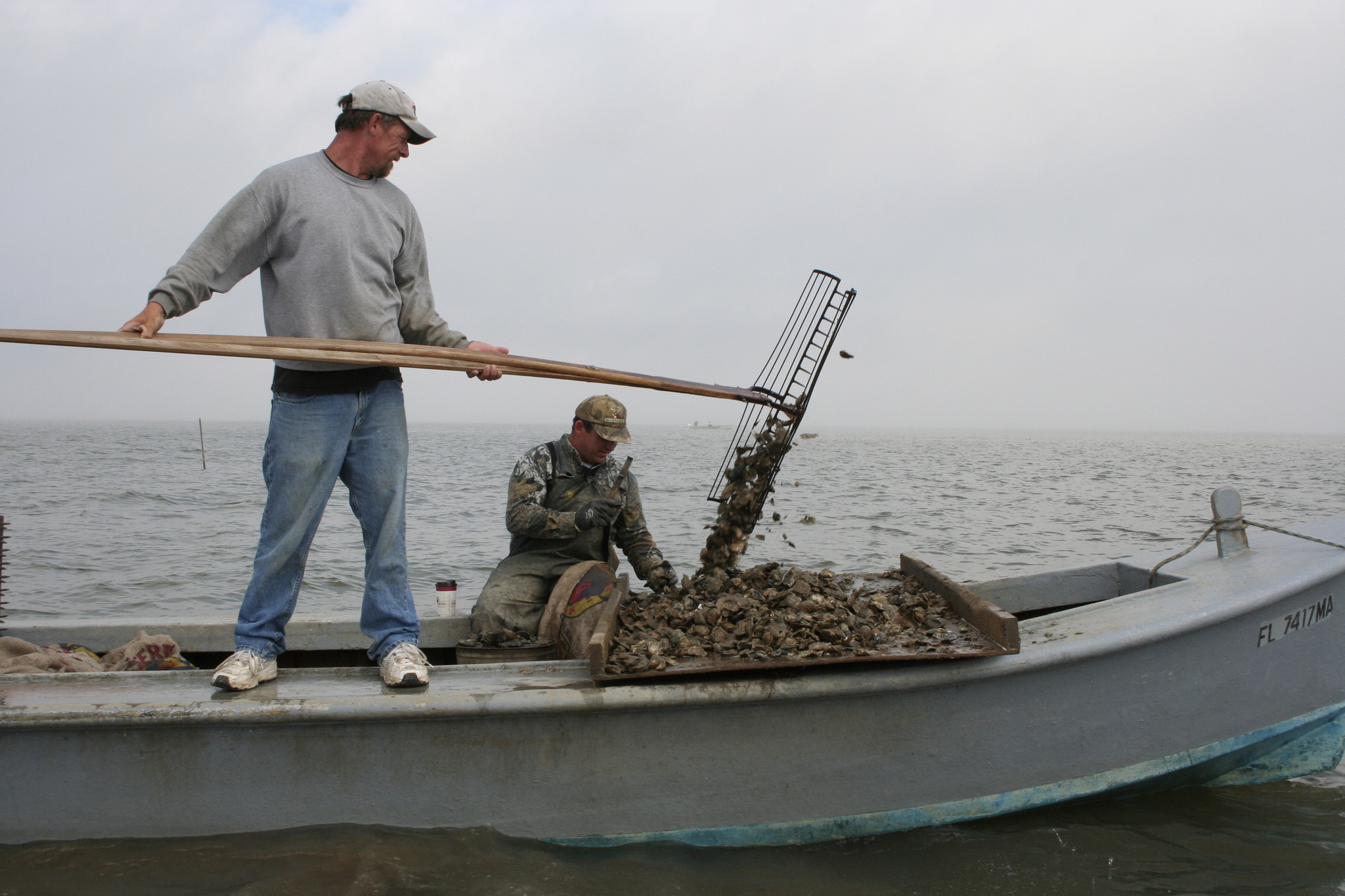 Demand for Fla. oysters drops as industry fights slew of environmental