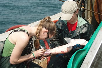 2016 0615 UNEdogfish