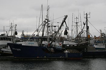 Researchers are now starting to look at the carbon footprint of fishing fleets and how fishing is contributing to warming trends.