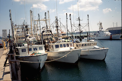 2014 1211 BG Bedrosian Fleet43