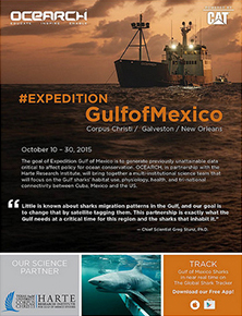 2015 0928 sharktagging2