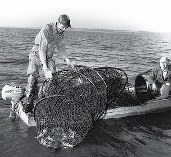 NOAA: $12M available for Great Lakes habitat restoration | National ...