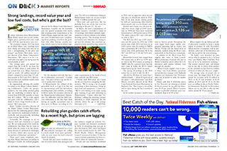 16jan NF MarketReports 320pxWide