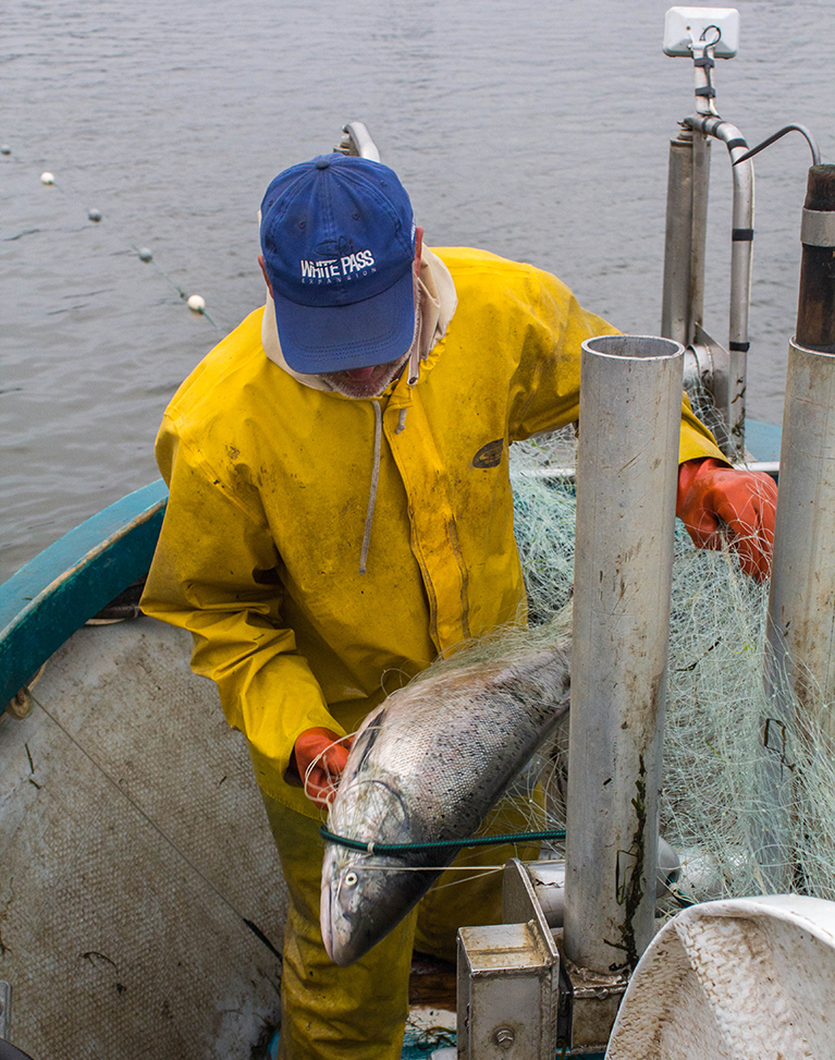 2015 0721 ITI Gillnetting SChambers