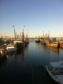 NewBedford draggers Melissa Wood/NF File photo