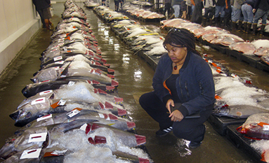 2015 0923 ITI JenniferYoung