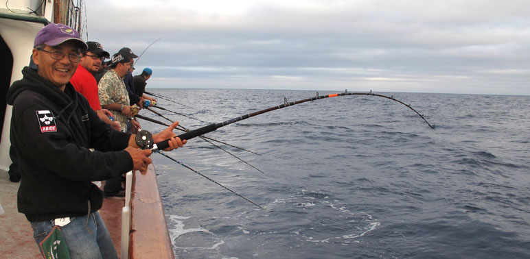 draft rec fishing policy 2014