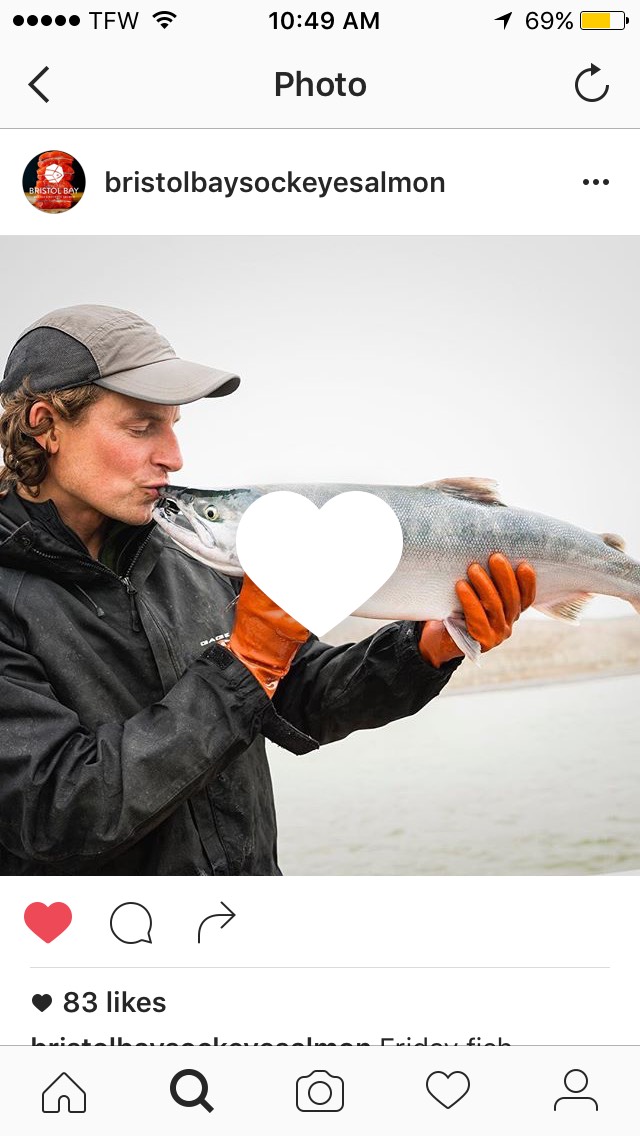 2016 0830 salmoninsta