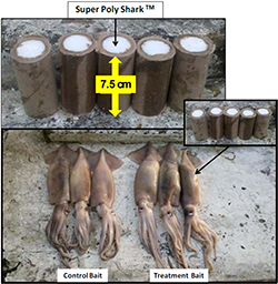2015-0115-Super-Polyshark