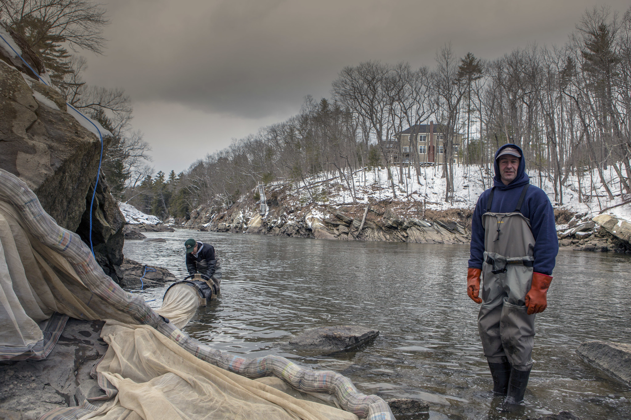 Maine s Elver Lottery Picks 11 Winners From 8 000 plus Entries Maine s Elver Lottery Picks 11 Winners From 8 000 plus Entries