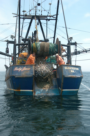 Deckhands Mike Ragusa and Joe "Joe Ringo" Parisi on the Gloucester, Mass.-based trawler Lady Jane, which participated in cooperative research in 2005. The Northeast council is still debating whether to accept data from these ongoing collaborative researc.