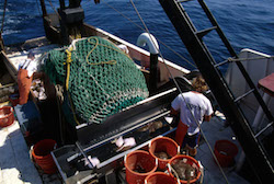 2015 122 Jerry RI170