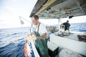 Gulf Coast Fisherman Magazine