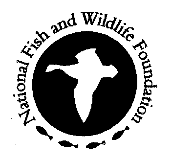 NFWF Announces $1.19 Million In Fisheries Grants | National Fisherman