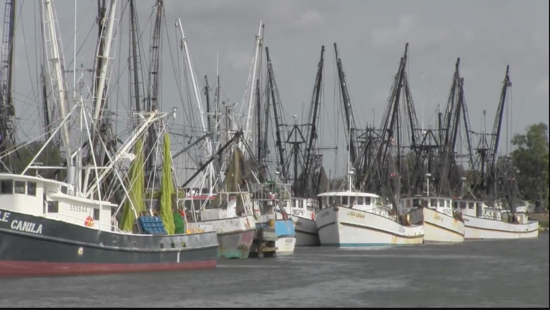 Brownsville, Texas, shrimp fleet
