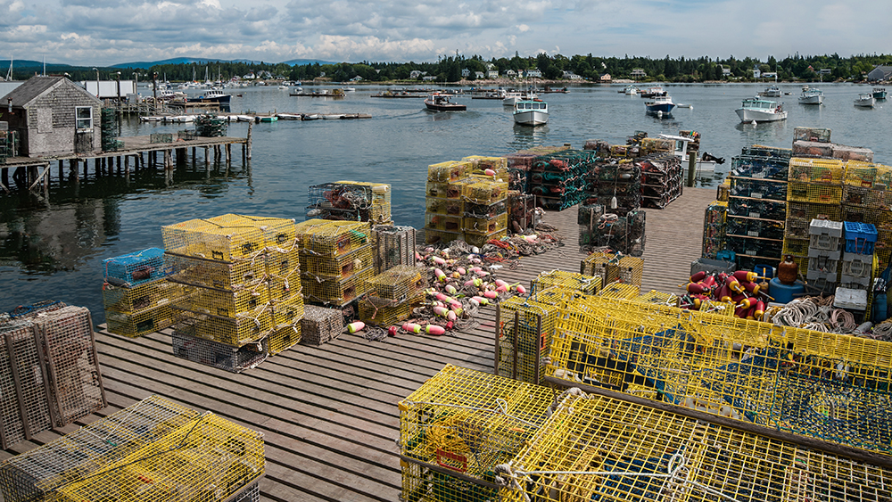 Unwritten rules: Four Maine lobstermen charged with molesting gear
