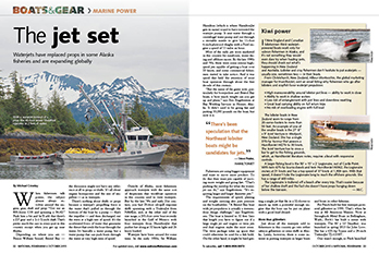 15oct NF CoverExcerpt 230pxWide